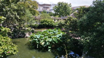 90平假山庭院設(shè)計(jì)圖片，打造精致的東方園林藝術(shù)空間探索之旅