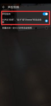華為手機有聲控自拍功能嗎？，華為手機有聲控自拍功能