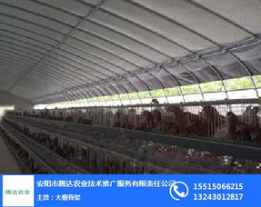 自動化養(yǎng)殖大棚設(shè)計圖片