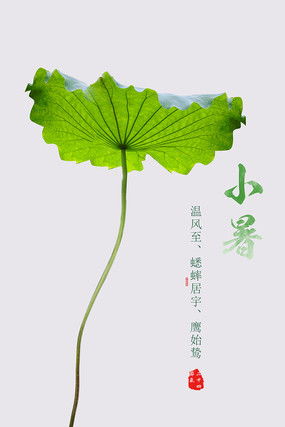 小暑設計圖片