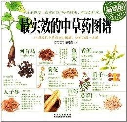 中藥圖譜設(shè)計(jì)圖片
