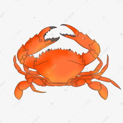 海蟹設(shè)計(jì)圖片大全