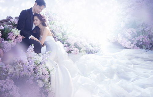 婚紗底片設(shè)計(jì)圖片