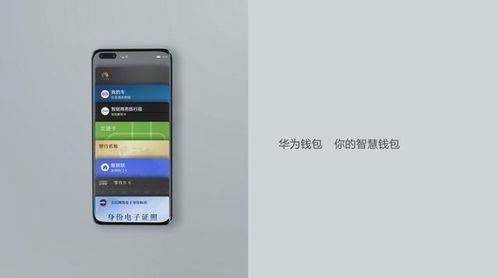 華為錢包POS功能，便捷個(gè)人支付新體驗(yàn)，華為錢包POS功能，革新個(gè)人支付體驗(yàn)