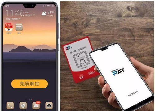 華為北極功能開啟方法，華為北極功能開啟方法介紹