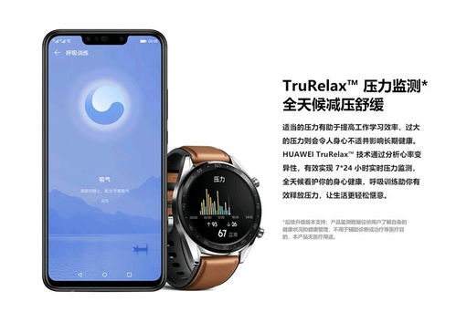 華為GT Cyber功能介紹，華為GT Cyber功能介紹，引領未來智能體驗