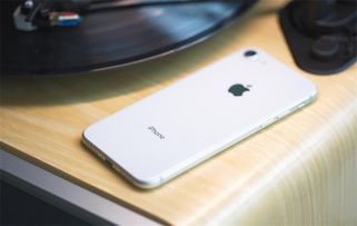 iPhone實體店體驗記，探索iPhone實體店，一次真實的購物之旅體驗分享！