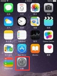 如何設(shè)置iPhone的呼叫轉(zhuǎn)移，設(shè)置iPhone呼叫轉(zhuǎn)移的方法如下，，撥打手機(jī)上的撥號(hào)界面，輸入67或345，即可進(jìn)行呼叫轉(zhuǎn)移的設(shè)置。