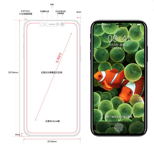 iPhone種子，引領(lǐng)科技革命的新起點，iPhone種子，開啟科技革命新篇章，引領(lǐng)未來趨勢崛起！
