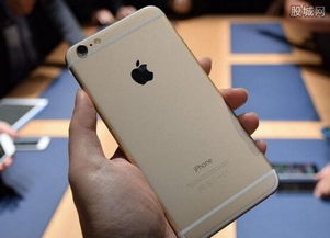 iPhone 6召回，問題與應(yīng)對措施，iPhone 6召回問題與應(yīng)對措施介紹