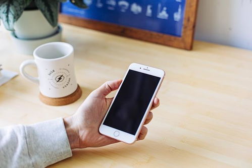 iPhone內(nèi)置詞典，便捷工具，知識(shí)寶庫，iPhone內(nèi)置詞典，知識(shí)寶庫助你掌握海量詞匯