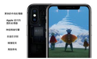 iPhone X測試報(bào)告，iPhone X測試報(bào)告，全面體驗(yàn)與性能評測