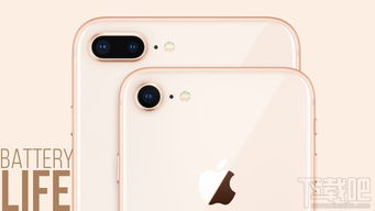 iPhone 8噪音問題及其解決方案，iPhone 8噪音問題解決方案