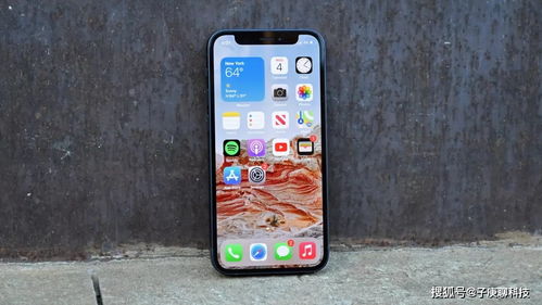 iPhone12碎屏換新，iPhone12屏幕維修更換服務(wù)