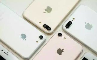 iPhone 9P最新官方消息，iPhone 9P最新官方消息，全面升級與新功能