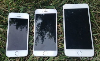 iPhone6屏幕介紹，iPhone6屏幕功能介紹
