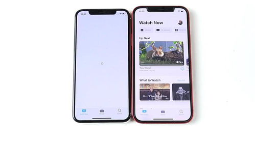 iPhone速度對(duì)比分析，iPhone速度對(duì)比分析，性能與效率的深度剖析
