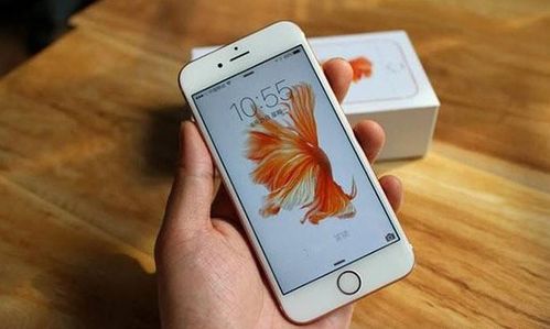 日版iPhone彩信體驗(yàn)，日版iPhone彩信體驗(yàn)，暢享高效傳輸