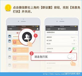 搶紅包神器iPhone，便捷與高效的雙重體驗(yàn)，iPhone紅包神器，便捷與高效的雙重體驗(yàn)