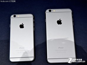 iPhone6P換屏，全面解析與操作指南，iPhone6P屏幕更換全解析與操作指南