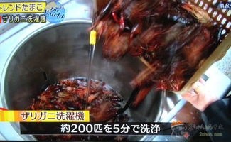女子吃生腌小龍蝦 吸蝦頭驚呆網友
