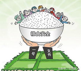 面臨嚴(yán)重糧食不安全人口超2.95億