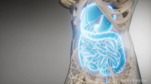 男子吃冰西瓜引發(fā)急性胰腺炎