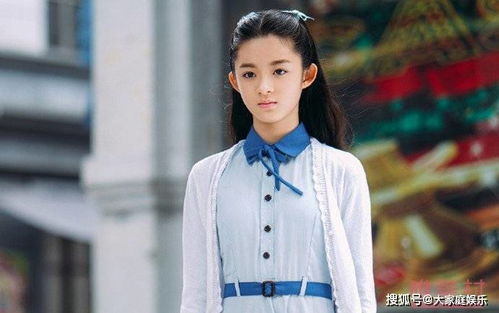 黃楊鈿甜父親將面臨什么處罰
