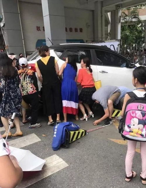 兩老人送孫子上學(xué)在校門(mén)口被撞身亡