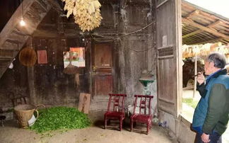 400年歷史金絲楠木老屋被燒