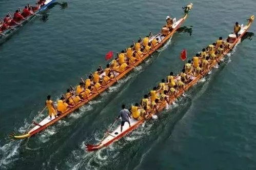 南方劃龍舟指哪劃哪 北方是劃哪算哪