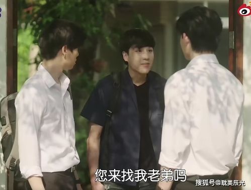 這部劇火得太及時(shí)了