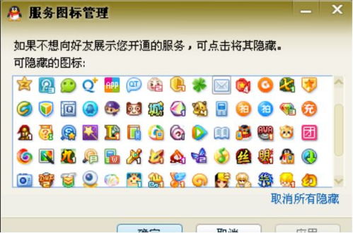 全球首個滿級QQ誕生