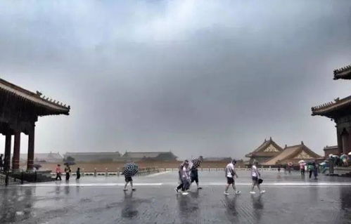 北京暴雨故宮再現(xiàn)千龍吐水(北京暴雨故宮奇觀)