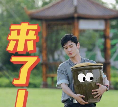 蘇超散裝與整裝不止于玩梗
