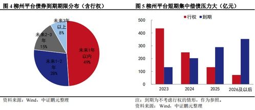 廣西：舉全區(qū)之力支持柳州化解債務(wù)(2020柳州市本級政府債務(wù)余額)