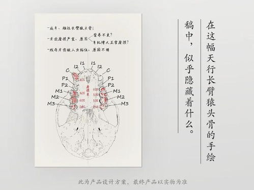 《書卷一夢》穿書題材腦洞大開(一卷書什么意思)
