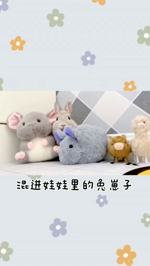 怎么混進(jìn)華為手機(jī)(怎么混進(jìn)華為手機(jī)桌面)
