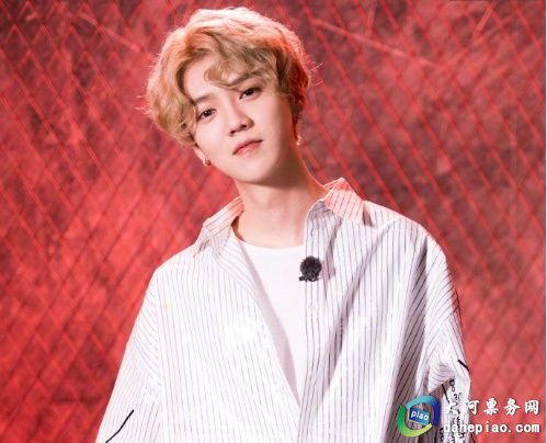 鹿晗演唱會(huì)直拍(鹿晗演唱會(huì)直拍圖片)