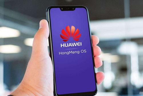 華為手機怎么停止(華為手機怎么停止自動續(xù)費)