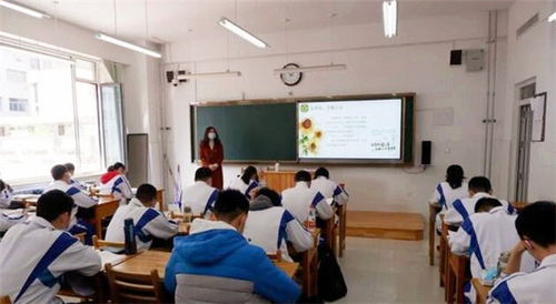 虐貓考生被取消招聘資格(虐貓事件的處理)