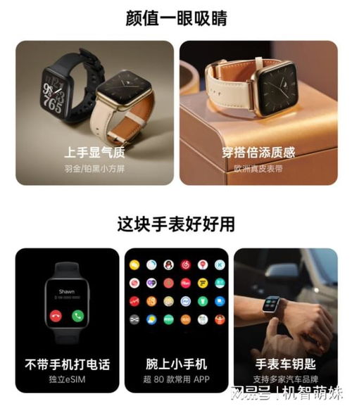 華為手機怎么登華為手表(怎么登錄華為手表)