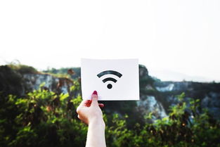 華為手機打不開wifi是怎么回事(華為手機打不開wifi是怎么回事兒)