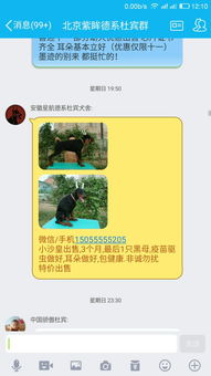 華為手機群發(fā)軟件怎么弄(華為手機群發(fā)軟件怎么弄到桌面)