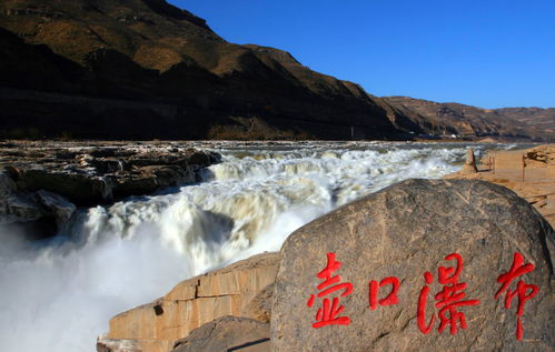 壺口瀑布毛驢遭投訴動作不雅？假(壺口瀑布的毛驢)