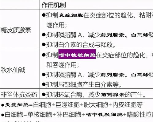 設(shè)計(jì)方案里的止痛是什么[止痛機(jī)制]
