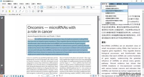 設(shè)計方案翻譯成英文設(shè)計圖怎么做的呢怎么寫,設(shè)計方案翻譯成英文設(shè)計圖怎么做的呢怎么寫
