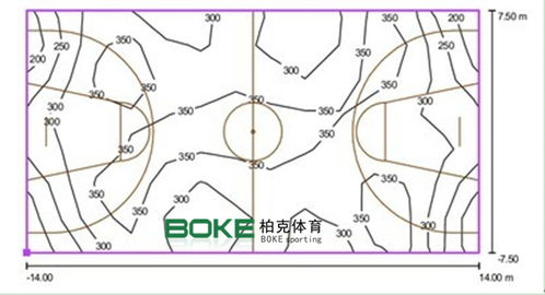 籃球場設(shè)計方案[籃球場設(shè)計方案及流程]