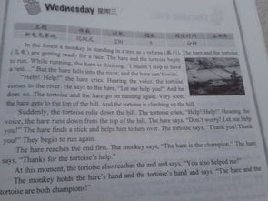 設(shè)計(jì)圖英文翻譯怎么說(shuō),設(shè)計(jì)圖案的英文怎么寫