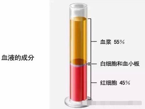 血漿冰袋設(shè)計方案[血液運輸時冰袋如何放置]